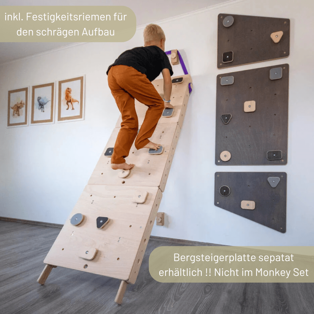 wandelbare Sprossenwand LOOPO MONKEY  7in1 | 200 kg belastbar | 2–99 Jahre | 7 Aufbauvarianten | modulares System - Kletterling – einfach Kind sein