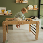 Verstellbares Kletterdreieck FULL MOON | GRÜN | 30 Formen | 98 x 67,5 cm | max. 50 kg - Kletterling – einfach Kind sein