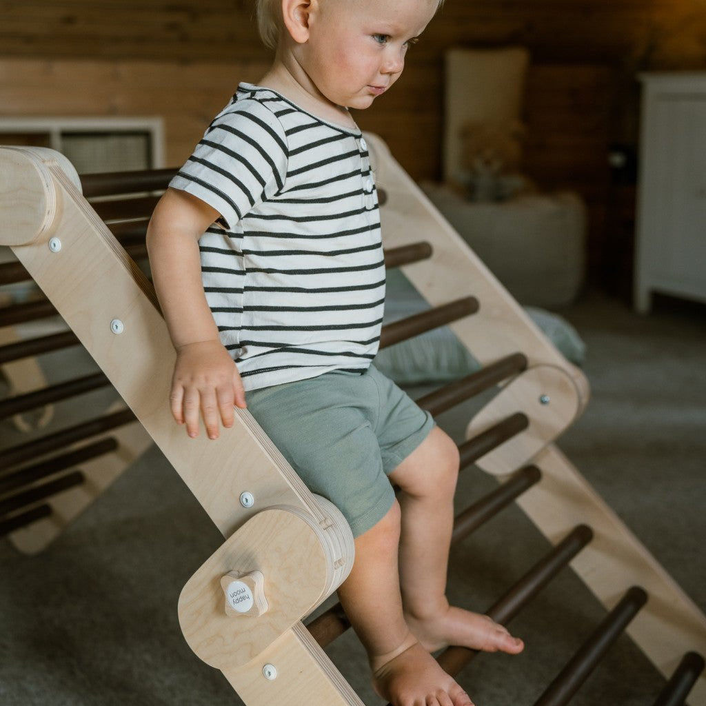 Verstellbares Kletterdreieck FULL MOON | DARKWOOD | 30 Formen | 98 x 67,5 cm | max. 50 kg - Kletterling – einfach Kind sein