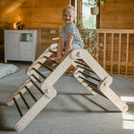 Verstellbares Kletterdreieck FULL MOON | DARKWOOD | 30 Formen | 98 x 67,5 cm | max. 50 kg - Kletterling – einfach Kind sein