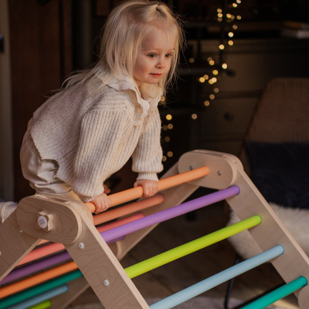 Verstellbares Kletterdreieck FULL MOON | BUNT | 30 Formen | 98 x 67,5 cm | max. 50 kg - Kletterling – einfach Kind sein