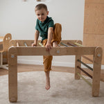 Verstellbares Kletterdreieck FULL MOON | GRÜN | 30 Formen | 98 x 67,5 cm | max. 50 kg - Kletterling – einfach Kind sein